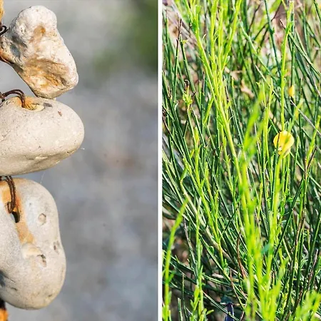 518-lemvig-lyngsletten-50 * ليمفج